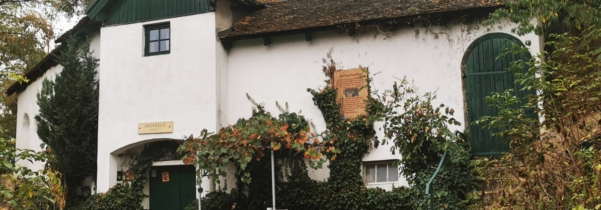 Herbst im Weinviertel, Co. Celine Gutleber