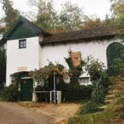 Herbst im Weinviertel, Co. Celine Gutleber