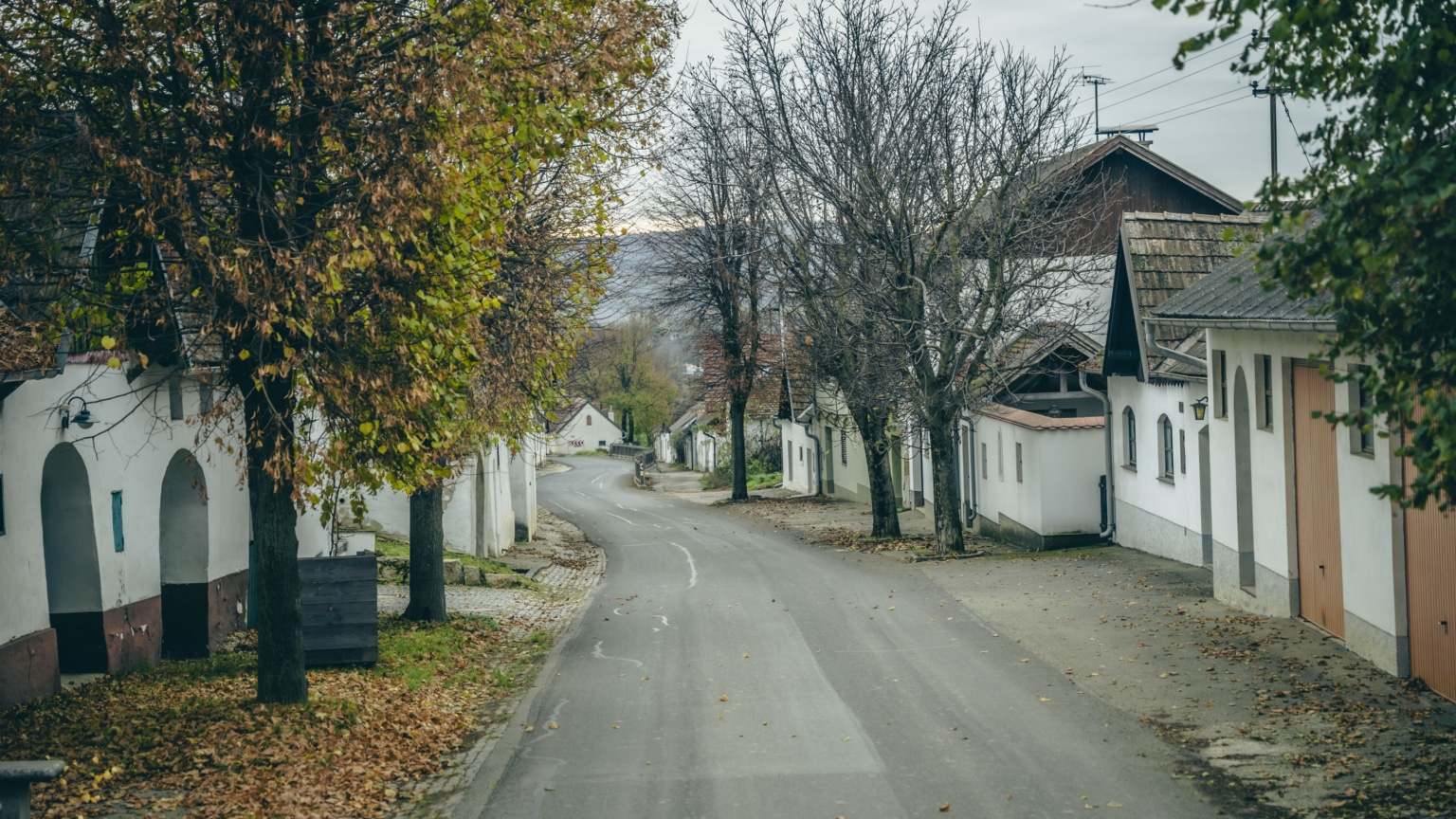 Exkursion Pulkautal 2024, Co. Vojtech Kapounek