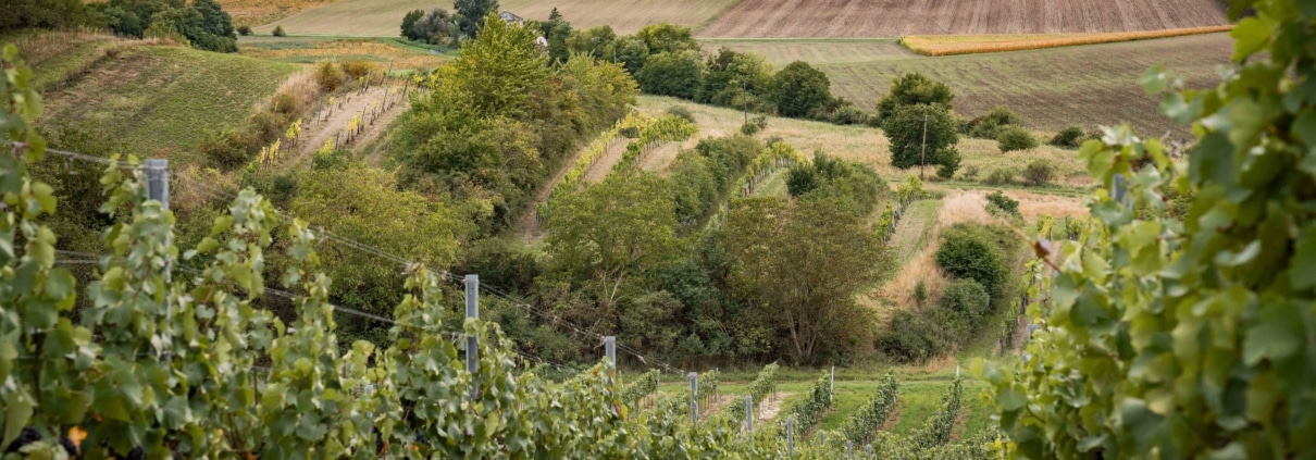 Werner and Judith Polz_Berisatzl