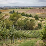 Werner and Judith Polz_Berisatzl