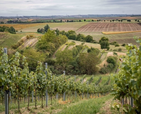 Werner and Judith Polz_Berisatzl